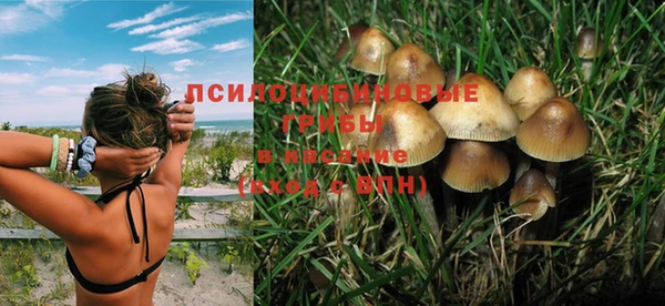 ешки Покровск