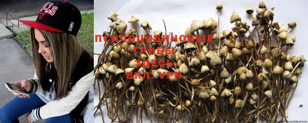 MDMA Premium VHQ Гатчина