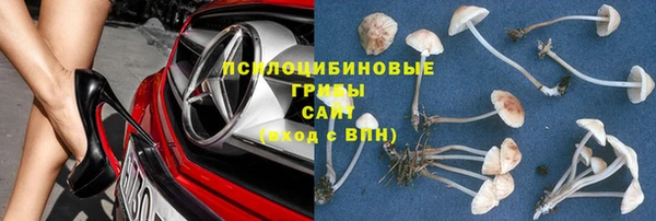 ешки Покровск