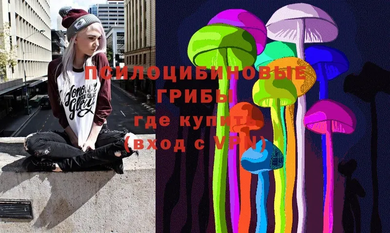 где купить наркотик  Выборг  Галлюциногенные грибы Psilocybine cubensis 