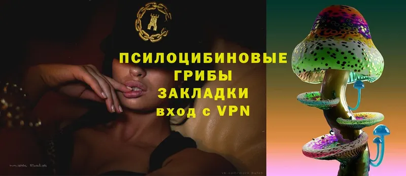Галлюциногенные грибы прущие грибы Выборг