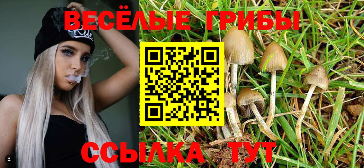 сколько стоит  Выборг  Псилоцибиновые грибы Magic Shrooms  Галлюциногенные грибы MAGIC MUSHROOMS 
