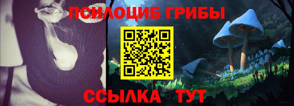 Галлюциногенные грибы Magic Shrooms Выборг